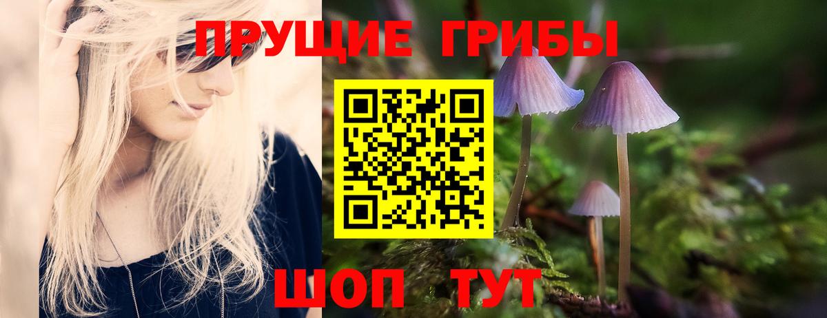 Галлюциногенные грибы Psilocybe  Псилоцибиновые грибы мицелий  Ишим  Вход с VPN 